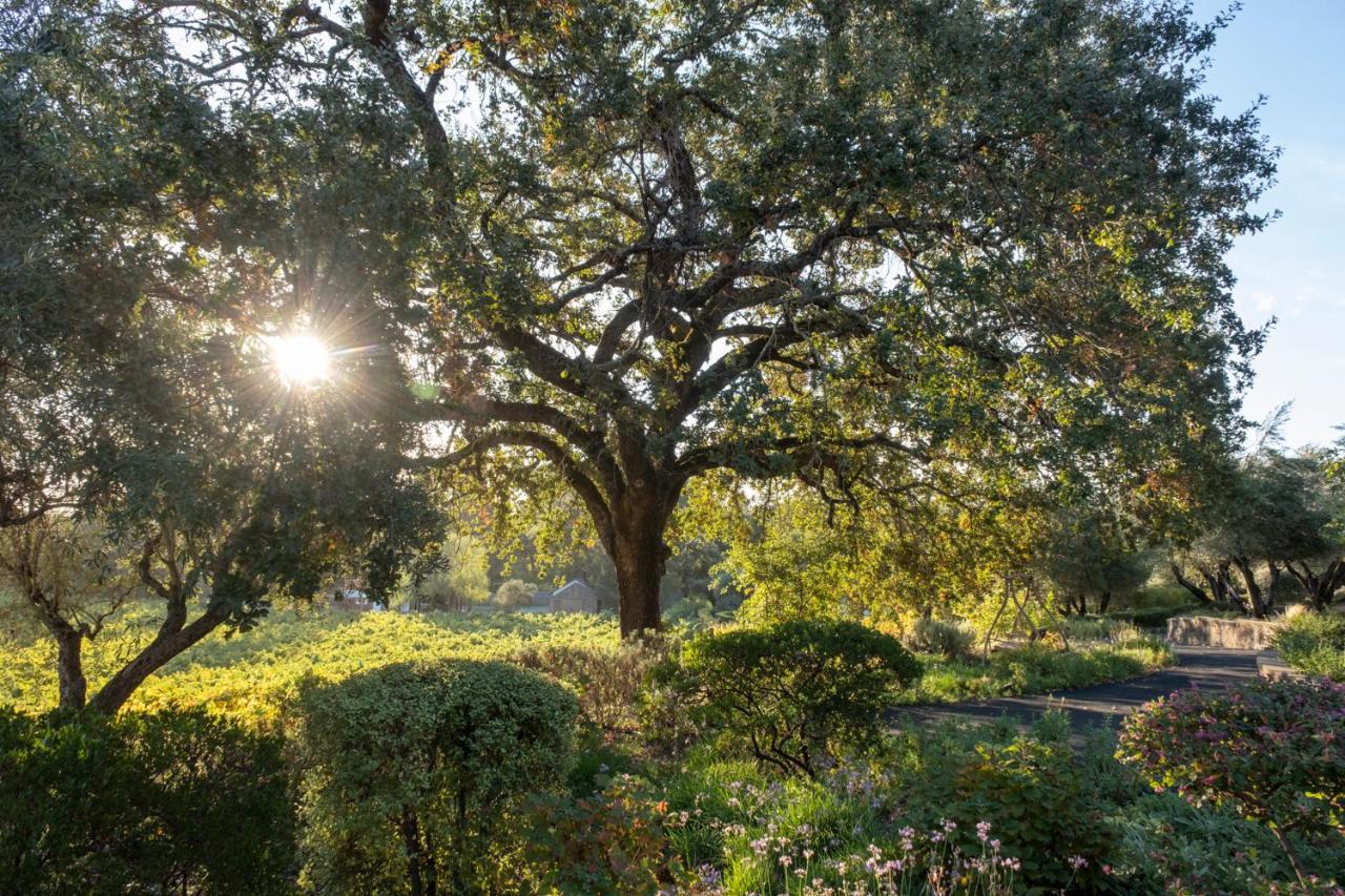 סנט הלנה Wine Country Inn Napa Valley מראה חיצוני תמונה