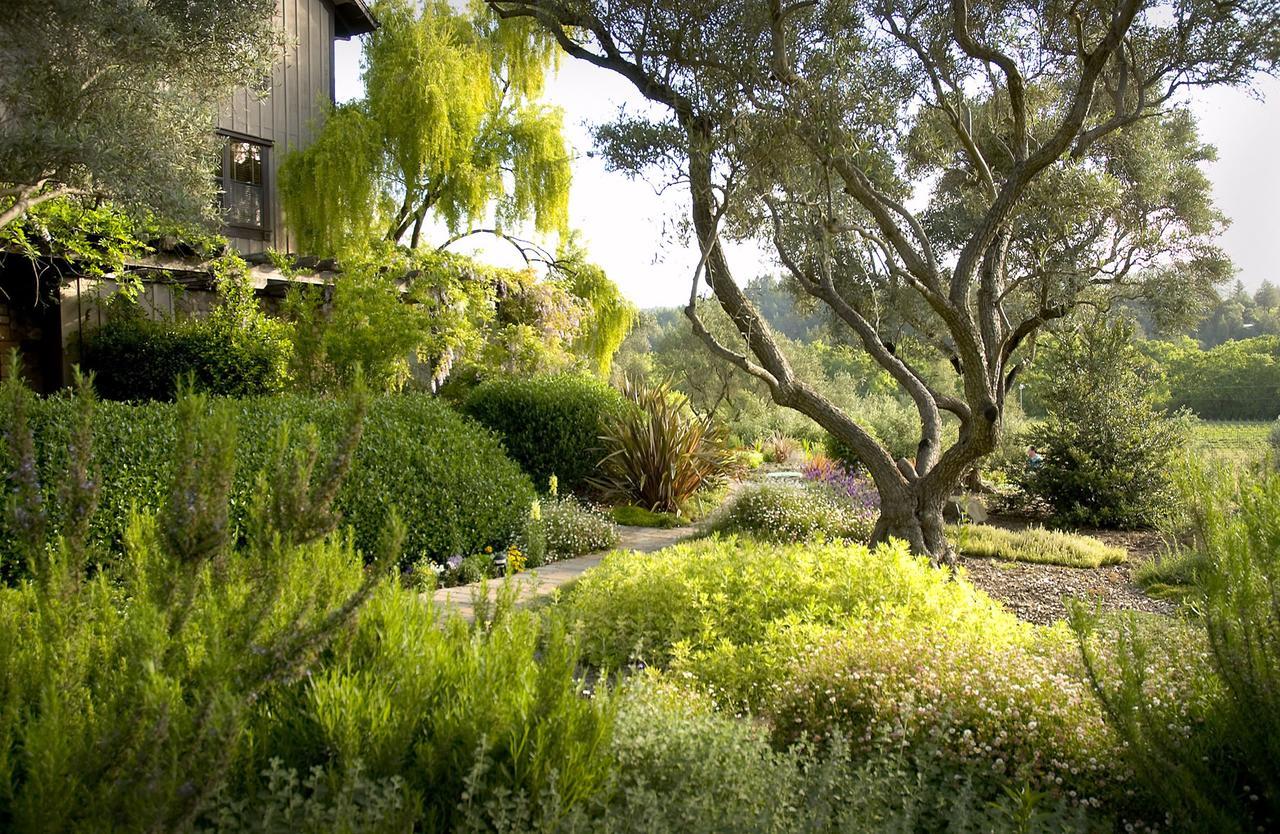 סנט הלנה Wine Country Inn Napa Valley מראה חיצוני תמונה