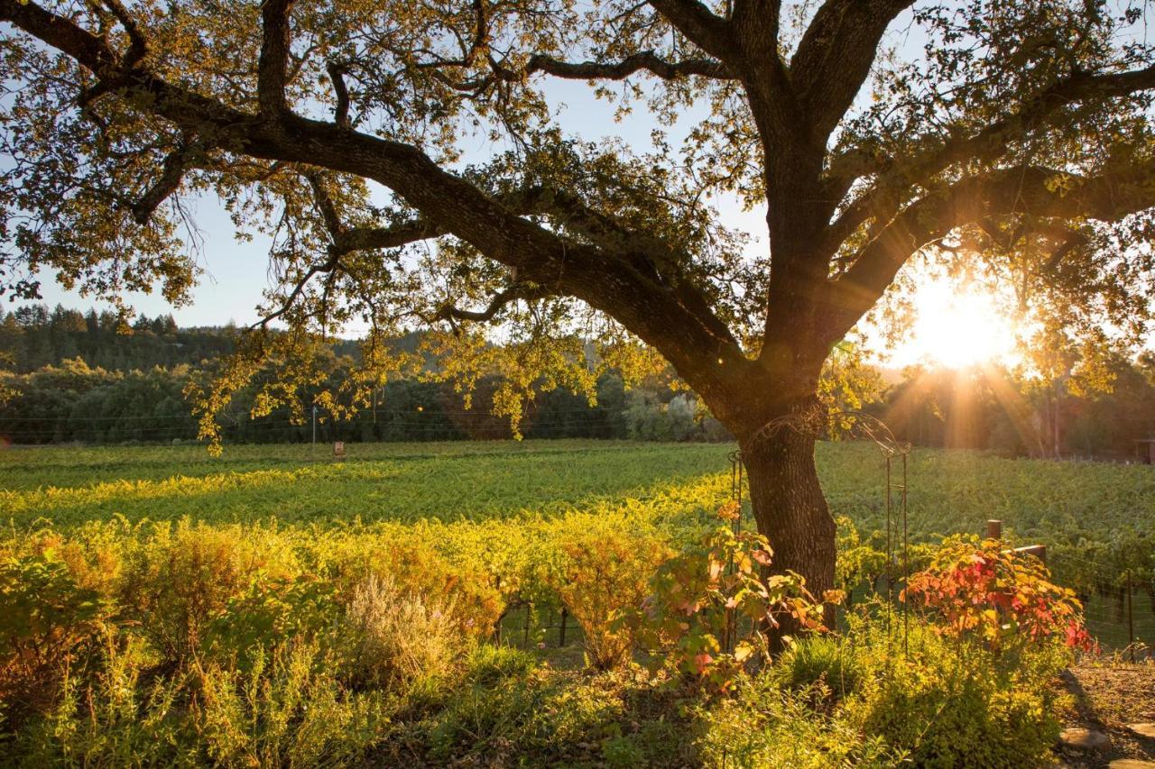 סנט הלנה Wine Country Inn Napa Valley מראה חיצוני תמונה
