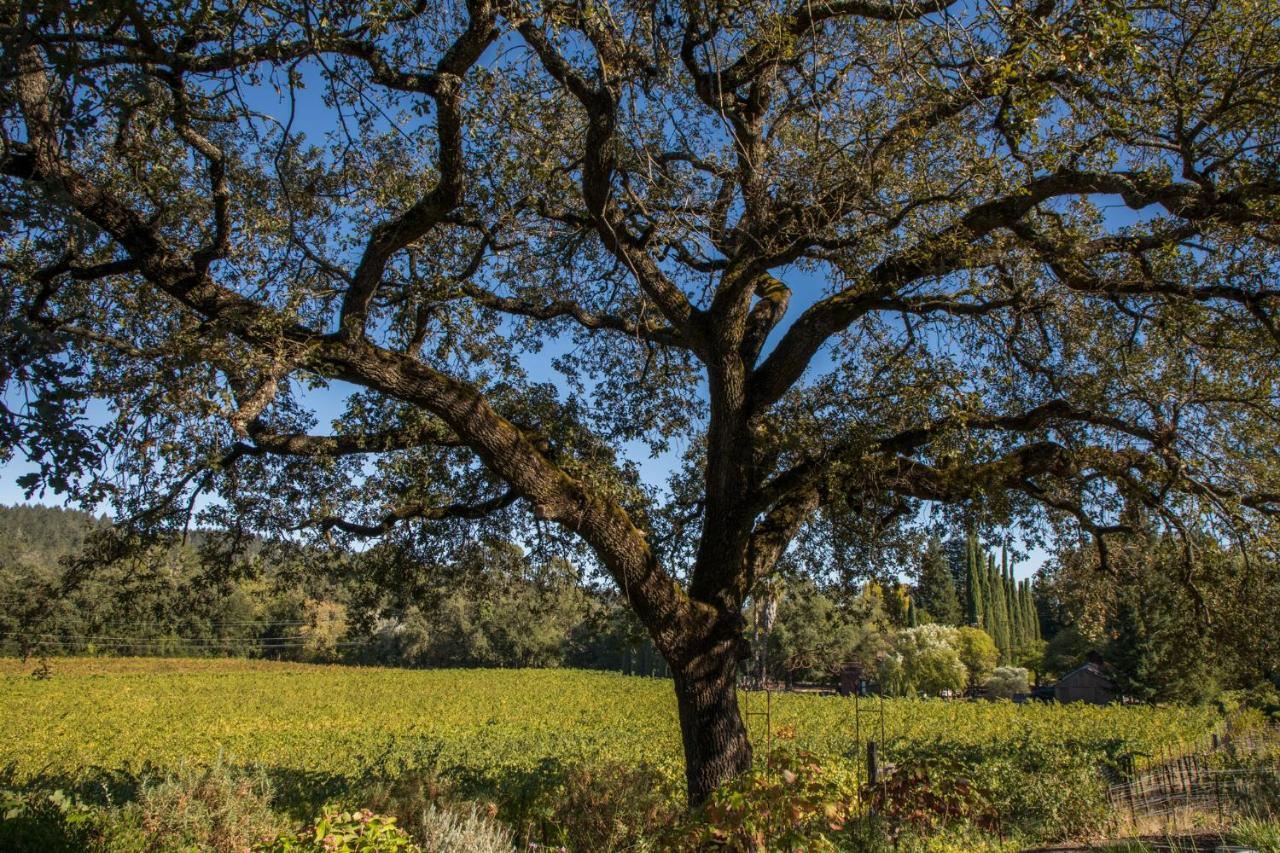 סנט הלנה Wine Country Inn Napa Valley מראה חיצוני תמונה