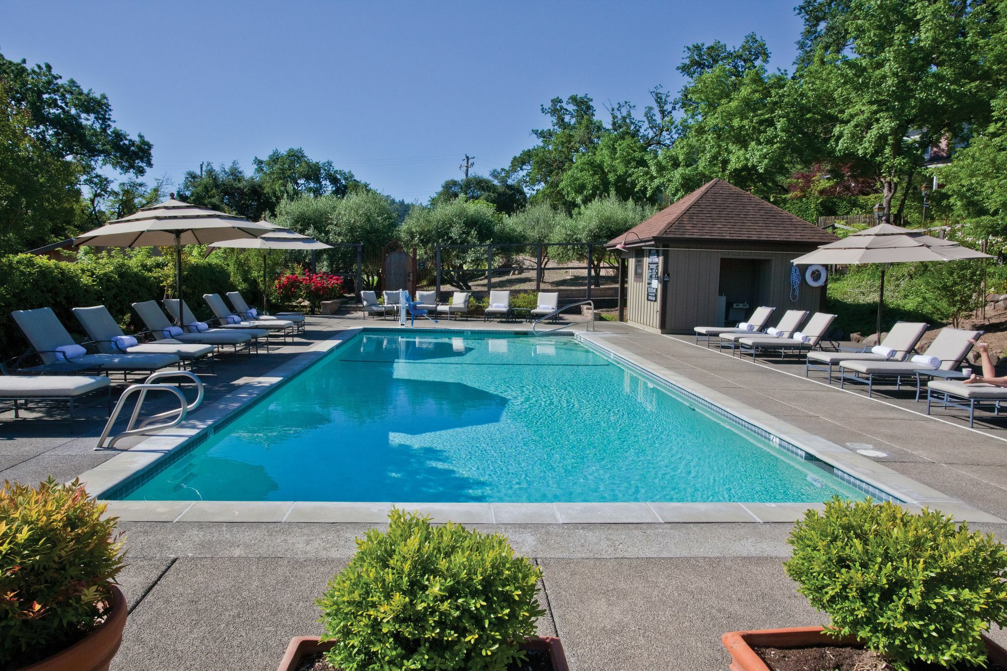 סנט הלנה Wine Country Inn Napa Valley מראה חיצוני תמונה